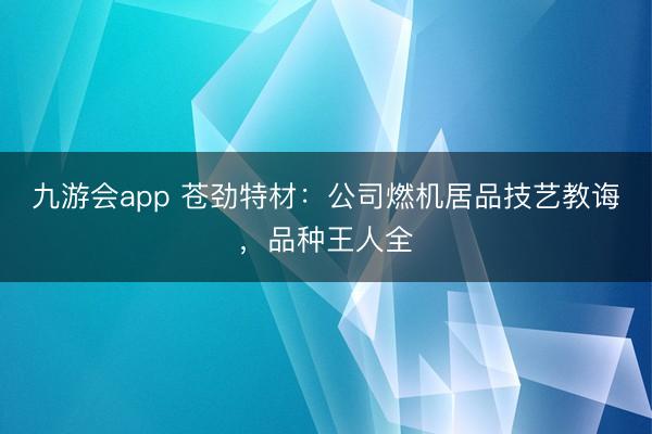 九游会app 苍劲特材：公司燃机居品技艺教诲，品种王人全