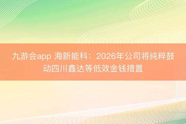 九游会app 海新能科：2026年公司将纯粹鼓动四川鑫达等低效金钱措置