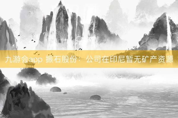 九游会app 振石股份：公司在印尼暂无矿产资源