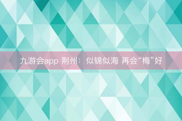 九游会app 荆州：似锦似海 再会“梅”好