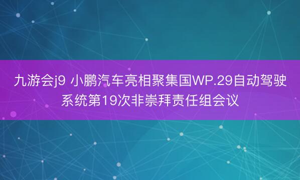 九游会j9 小鹏汽车亮相聚集国WP.29自动驾驶系统第19次非崇拜责任组会议