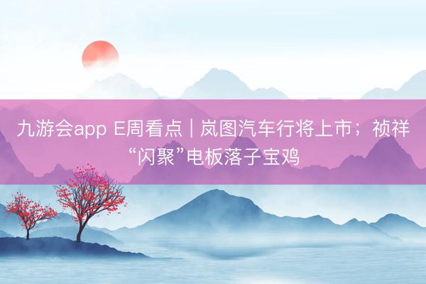 九游会app E周看点 | 岚图汽车行将上市；祯祥“闪聚”电板落子宝鸡