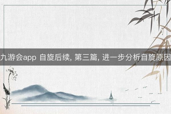 九游会app 自旋后续, 第三篇, 进一步分析自旋原因