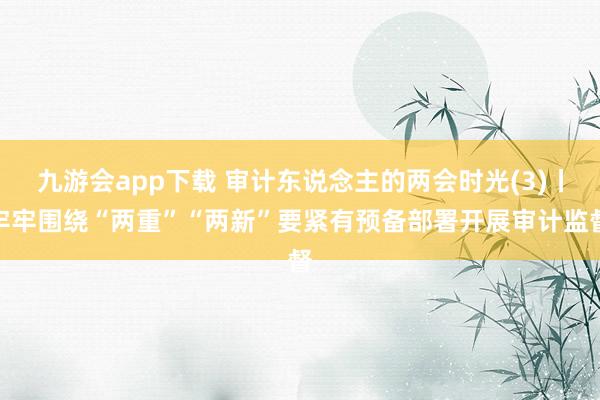 九游会app下载 审计东说念主的两会时光(3)丨牢牢围绕“两重”“两新”要紧有预备部署开展审计监督
