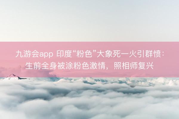 九游会app 印度“粉色”大象死一火引群愤：生前全身被涂粉色激情，照相师复兴