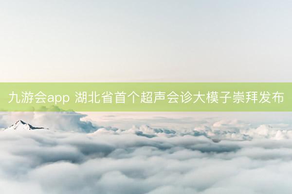 九游会app 湖北省首个超声会诊大模子崇拜发布