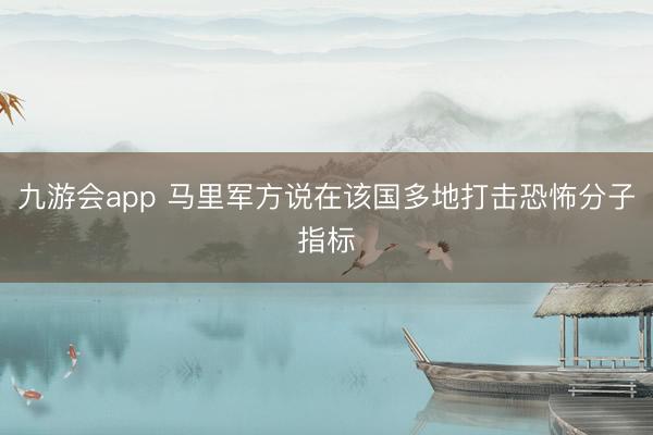 九游会app 马里军方说在该国多地打击恐怖分子指标